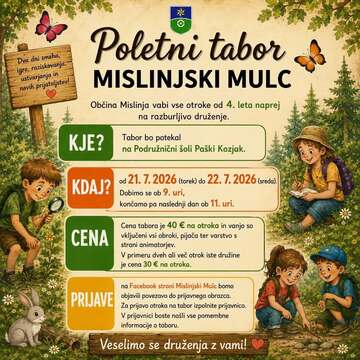 Poletni tabor
